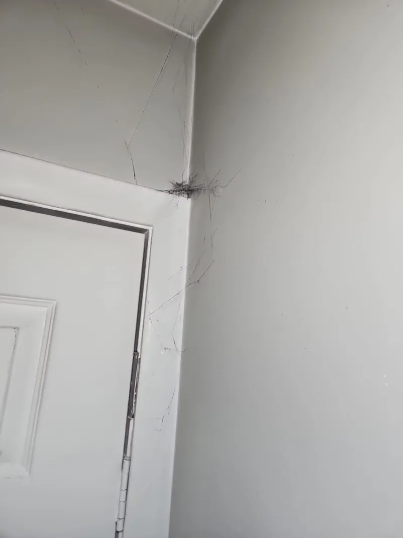 The kitchen ceiling and light fixture blackened by soot — smoke damage even where nothing burned.