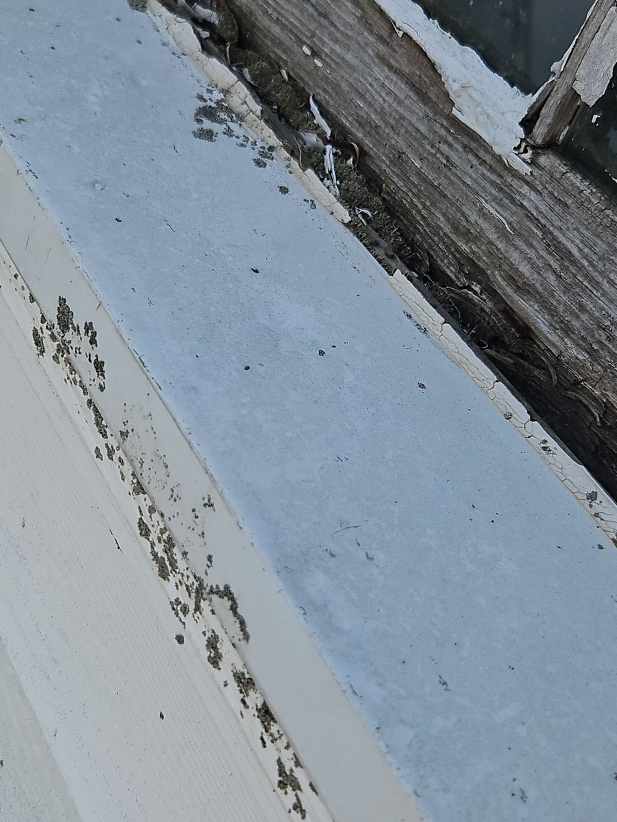 Soft aluminum — gutters, drip edge and flashing — dents easily and is a reliable indicator of a real hail event.