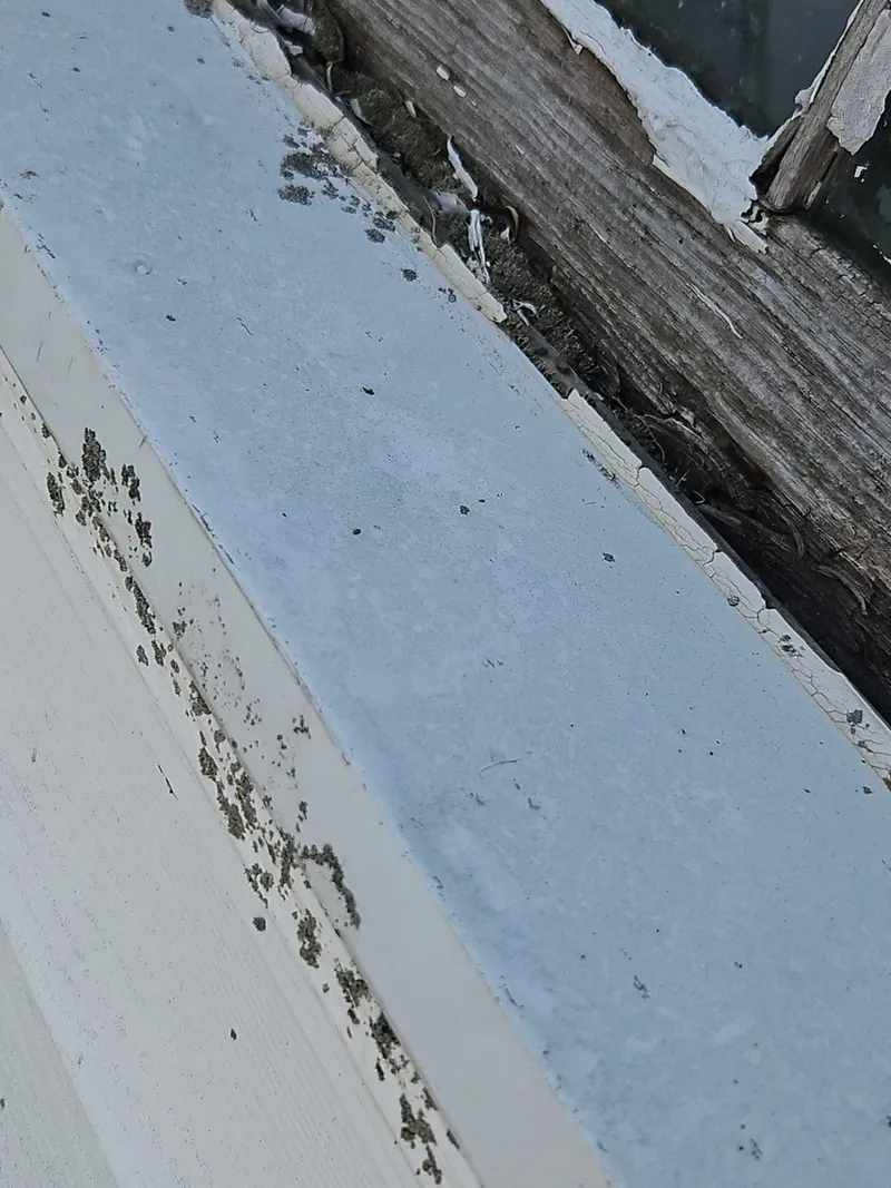 Soft aluminum — gutters, drip edge and flashing — dents easily and is a reliable indicator of a real hail event.