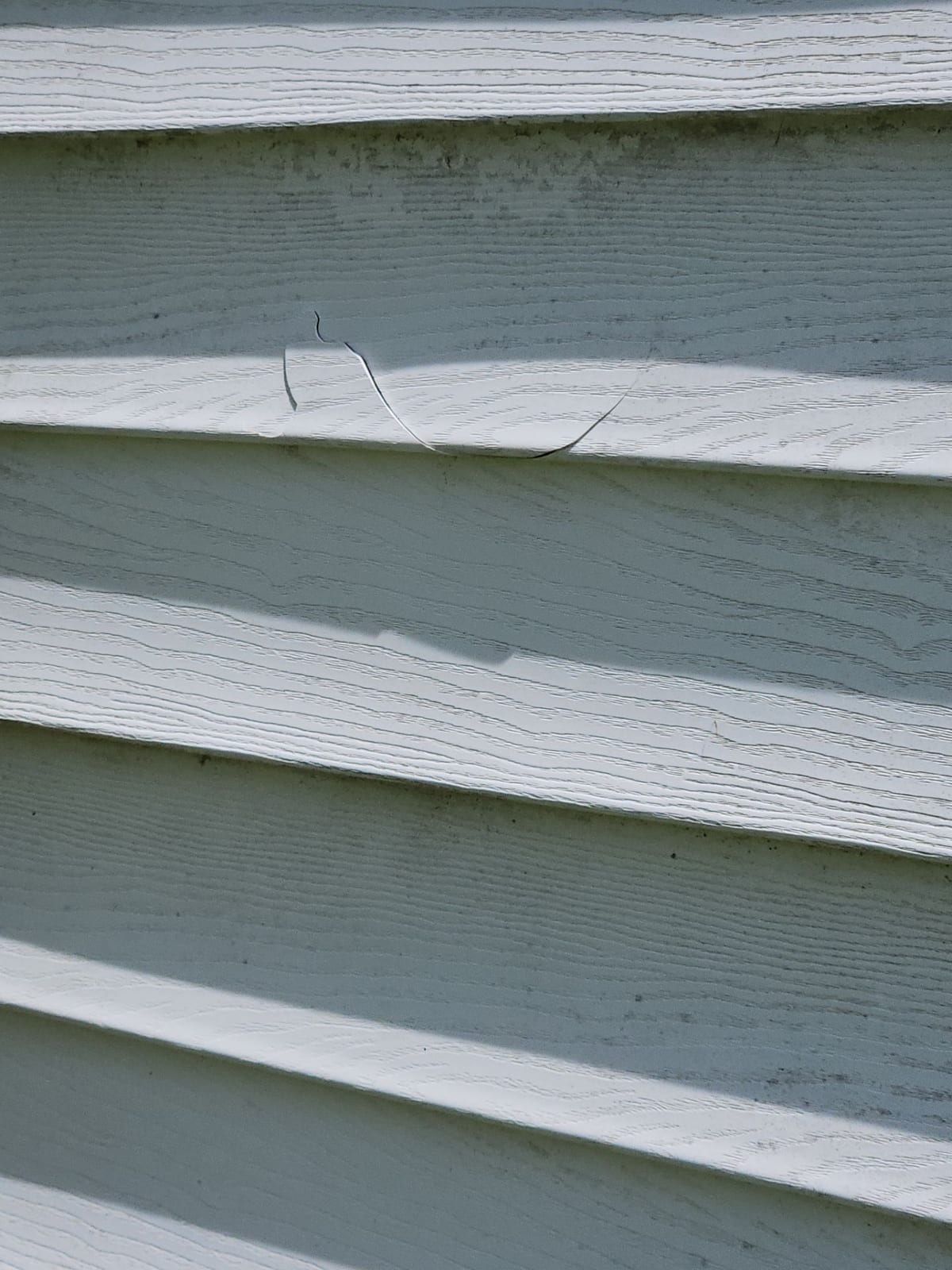 Hail bruising across the vinyl siding, documented panel by panel.