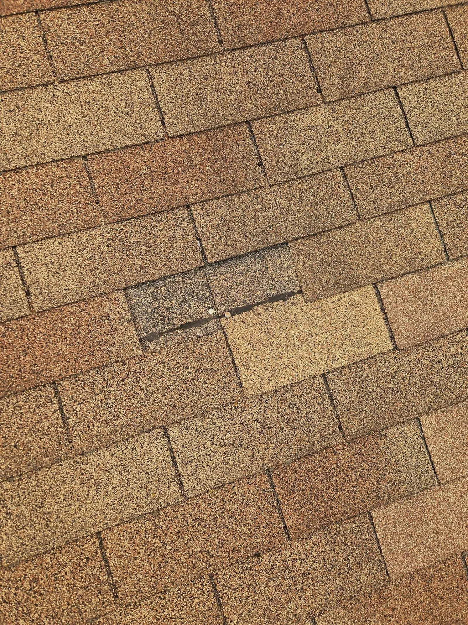 Missing and wind-damaged shingles on a roof in Euclid, Ohio