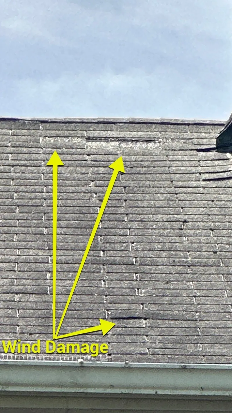 The source: wind-damaged shingles on the main roof — torn and missing tabs that let rain straight into the structure.