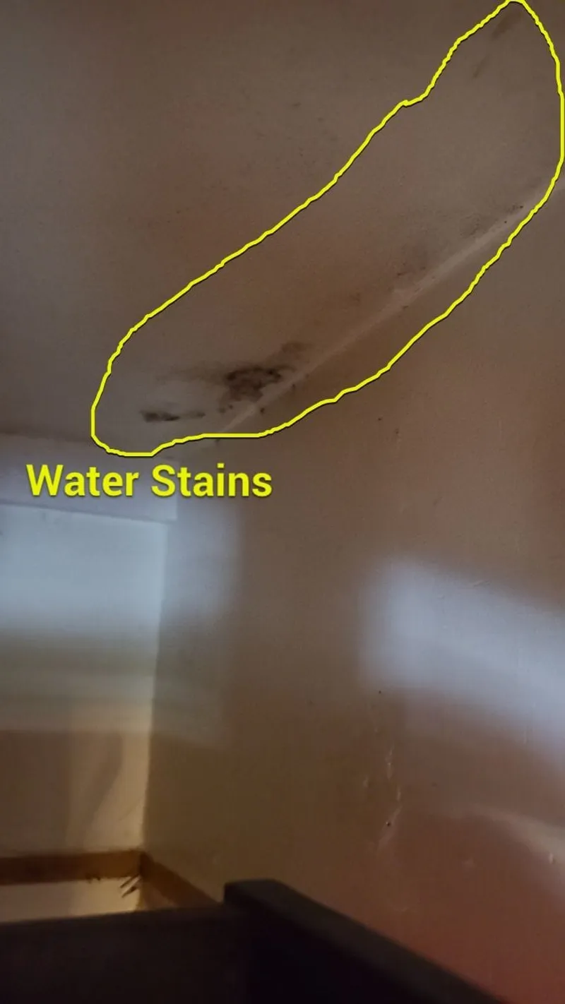 Water stains and mold growth in the kitchen — the health hazard hidden water leaves behind.