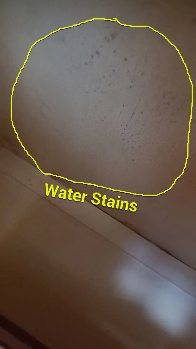 More marked water staining on the kitchen ceiling, mapping the full path of the leak.
