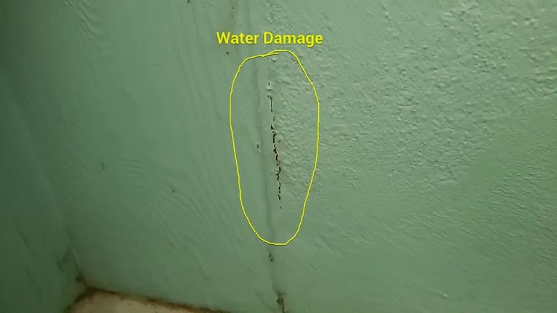 Interior water damage marked on a dining-room wall, where the roof leak surfaced.