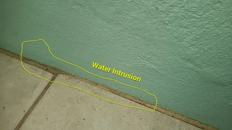 Water intrusion documented at the baseboard — moisture tracking down inside the wall.