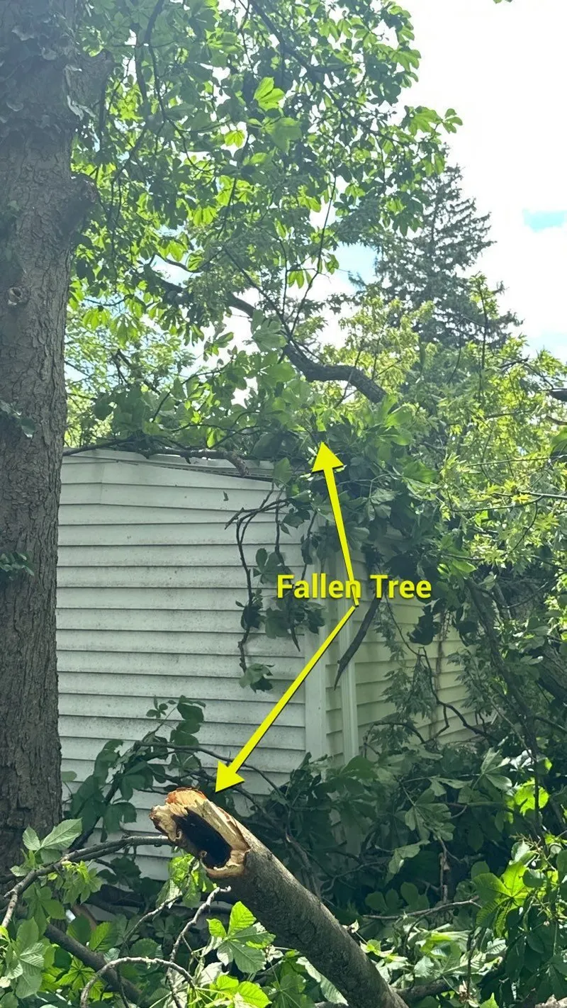 A tree came down across the detached garage — the fresh, light-colored break marks a storm failure, not a dead limb.