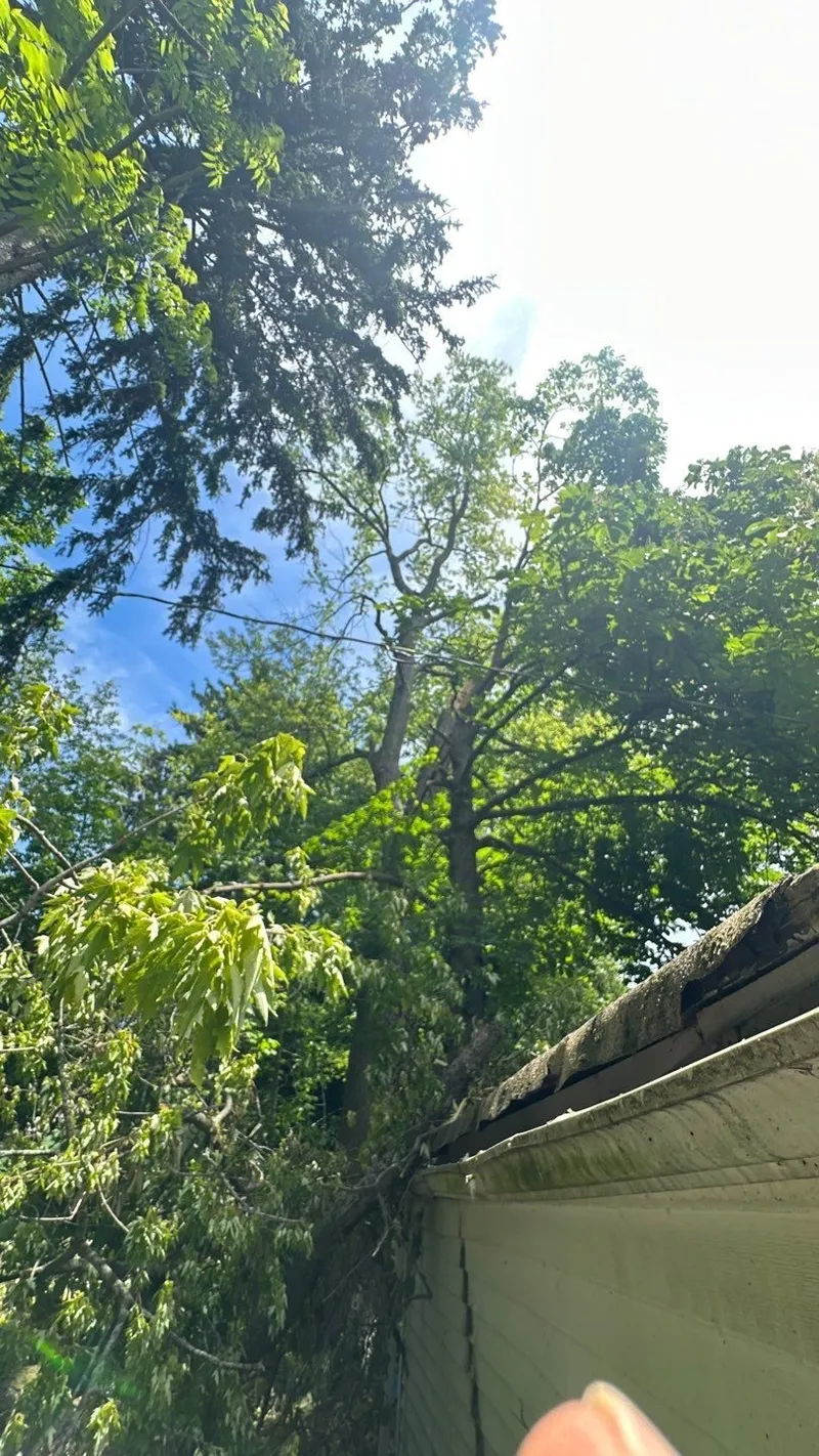 The trunk resting on the garage roof edge — crushing the fascia and roofline where it landed.