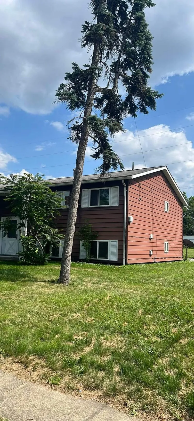 A tall evergreen leaning hard over the building — the kind of storm-driven tree hazard that damages roofs and siding.